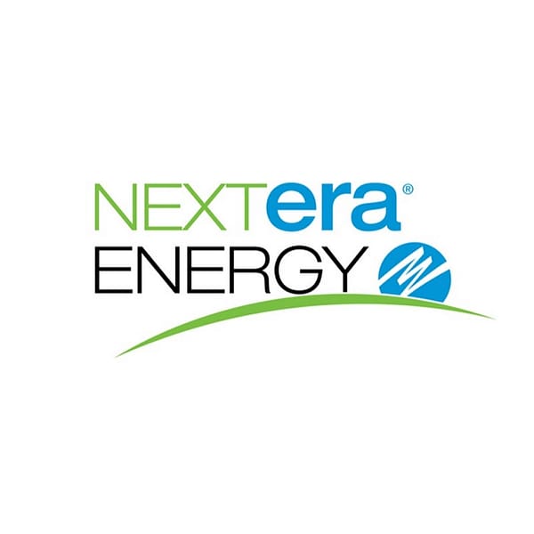 NEE logo