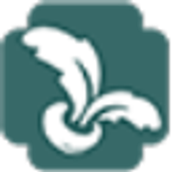 999 logo